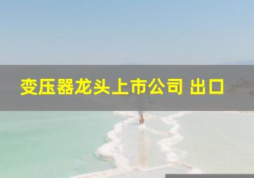 变压器龙头上市公司 出口